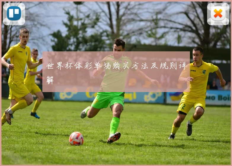 世界杯体彩单场购买方法及规则详解