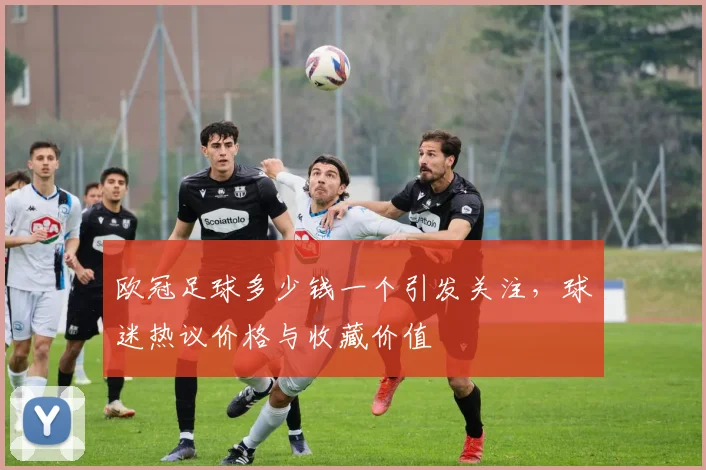 欧冠足球多少钱一个引发关注,球迷热议价格与收藏价值